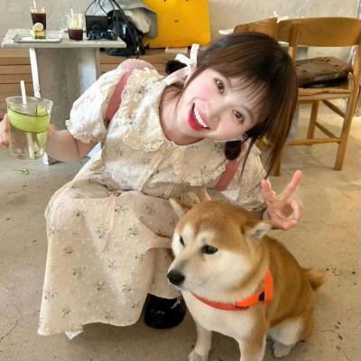 高球